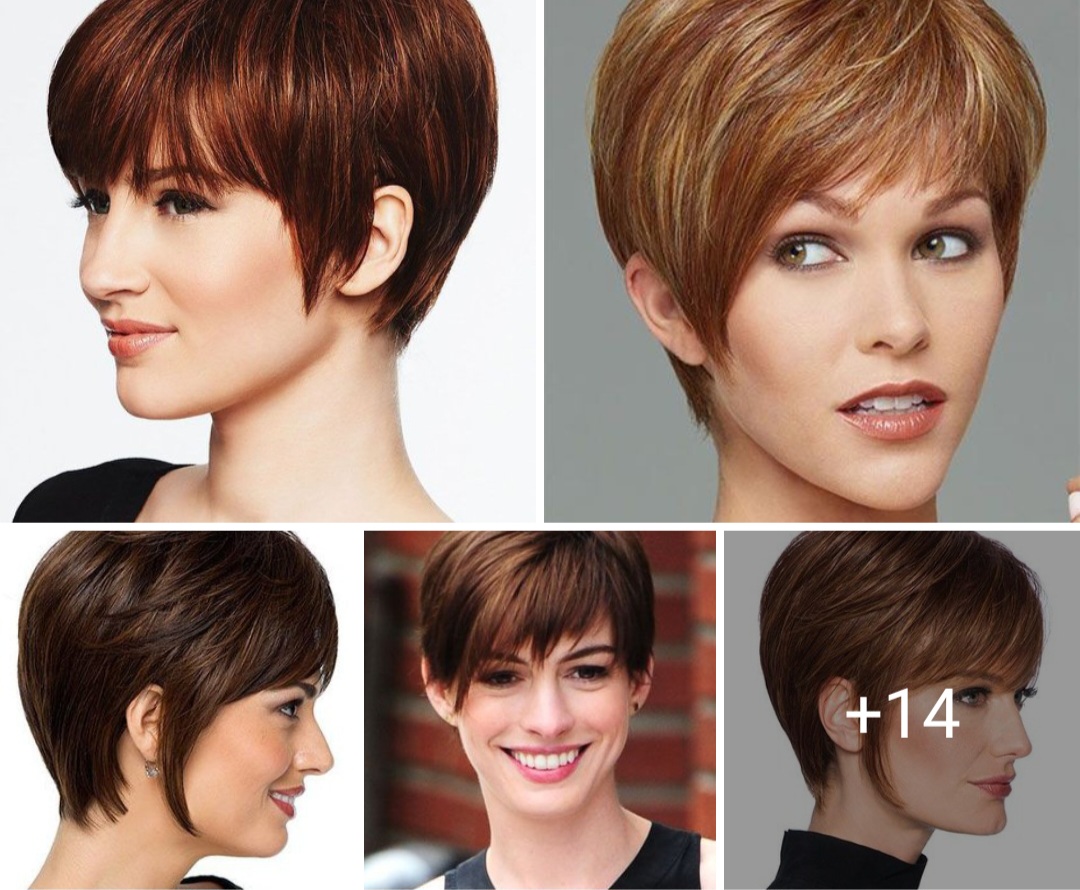 Hair colors Hairstyles ????‍♀️????????‍♀️????????‍♀️